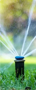 Sprinklers spraying water on a Texas lawn. Sprinklers spraying water on a Texas lawn.