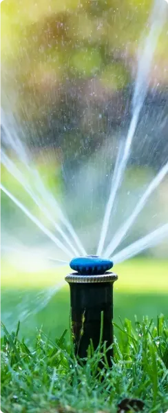 Sprinklers spraying water on a Texas lawn. Sprinklers spraying water on a Texas lawn.