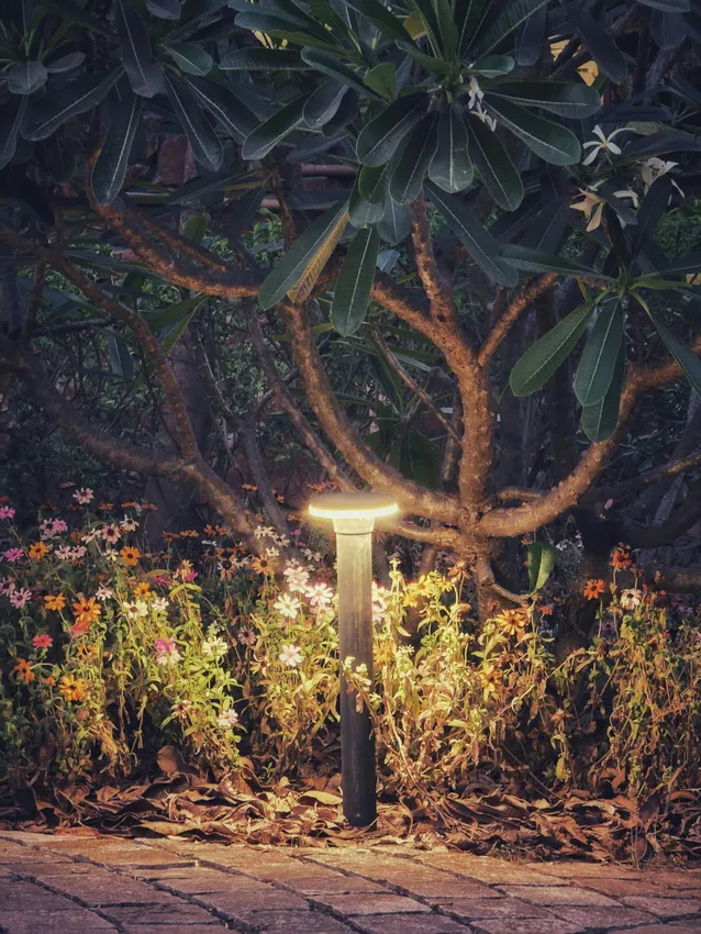 Landscape lighting design in Austin TX